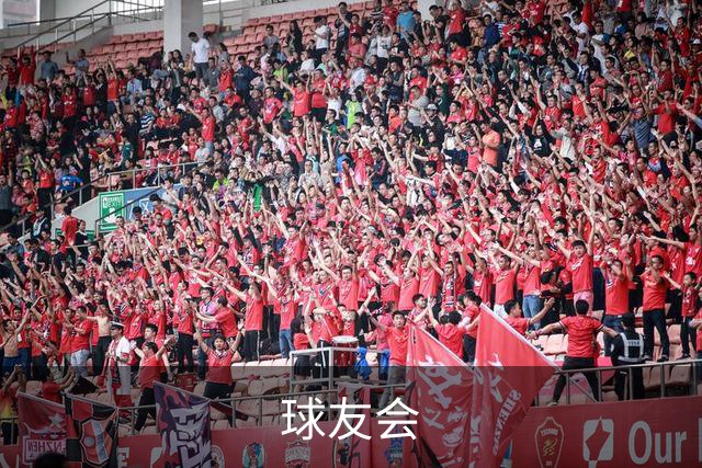球友会公司介绍